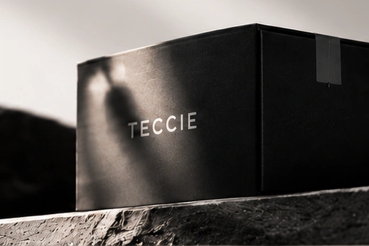 A black TECCIE shipping box on stone.